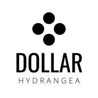 Dollar Hydrangea Logo