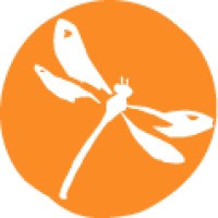 Tina Smith - Your New Wings Logo