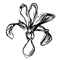 Uproots Genealogy, Inc. Logo