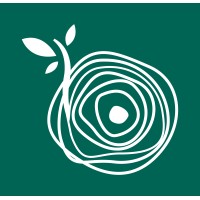 Semente - Escola de Educação Audiovisual Logo