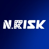 N Risk Gerenciamento de Risco e Logística Logo