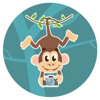 Video Monkey Logo