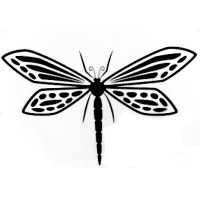 Dragonfly Central, Inc. Logo