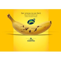 🍌🥑 SAT Malpaís Logo