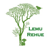 Lemu Rehue: Pensar como un Bosque Logo