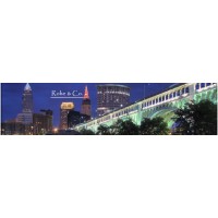 Rohe & Company, LLC Logo