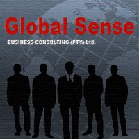 Global Sense Business Consulting (Pty) Ltd. Logo