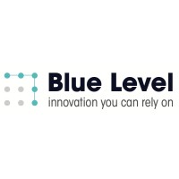 Blue Level Consulting Logo