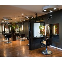 PURA VIDA SALON Logo