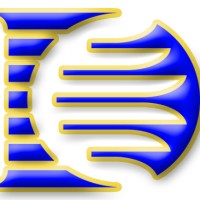 Dohmen Strategies, LLC Logo