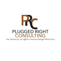 Plugged Right Consulting Logo