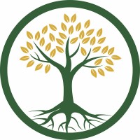 Your Franchise Biz Logo
