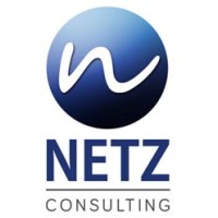 Netz Consulting Logo