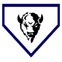 Buffalo Valley Wealth Plus Logo