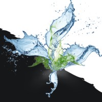 Pure Hygiene Solutions Logo