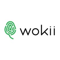 wokii news Logo