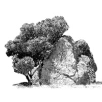 Spirit Rock Meditation Center Logo