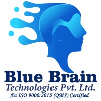 Blue Brain Technologies Private Limited Logo