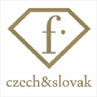 FashionTV czech&slovak Logo