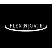 Flex N Gate Grupo México Logo