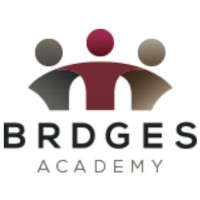 BRDGES Academy Logo