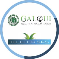 GRUPO GALQUI-TECECOR Logo