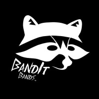 BandIt Bands | ThinkSync Solutions Inc. Logo