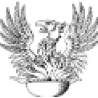 Fhoenix Financial Services Logo