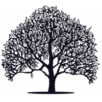 Cressida Collaborative Logo
