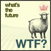 Whats The Future MX Logo