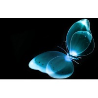 Mind Matters PsychiatryMD Logo