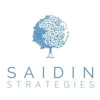 Saidin Strategies LLC Logo