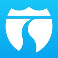 USA Drives Logo