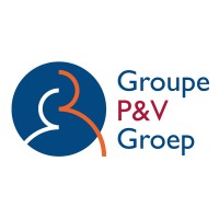P&V Group Logo
