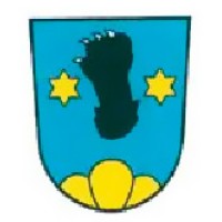 Bruhin Solutions Logo