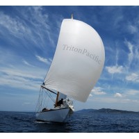 Triton Pacific Capital Partners, LLC Logo