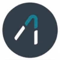 Asset 1 Investment Company Logo