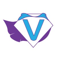 Vivacity Team Logo