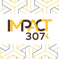 IMPACT 307 Logo