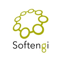 Softengi - Delivers Your Success Logo