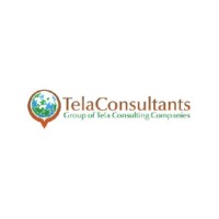 TelaConsultants, LLC Logo