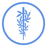 WHO Foundation Logo