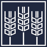 Anson Analytics Logo