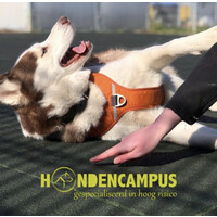 HondenCampus Logo
