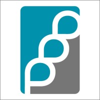 Pettinelli Financial Partners Logo