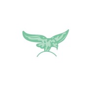 Eagle Medical Systems Pvt. Ltd. Logo