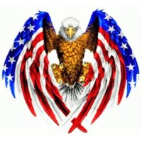 All American Windows & Glass Logo