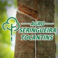 Agro Seringueira Tocantins Logo