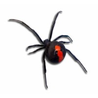 Falls Pest Control Logo
