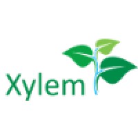 Xylem Trees Logo